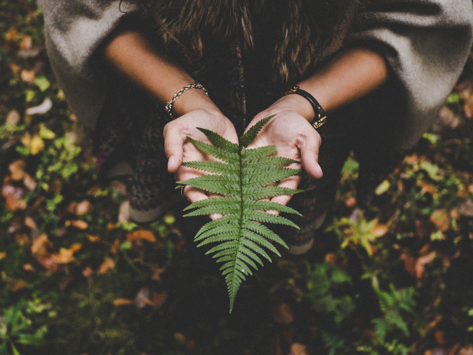 The Environmental Benefits of Using Heat Pumps in New Zealand